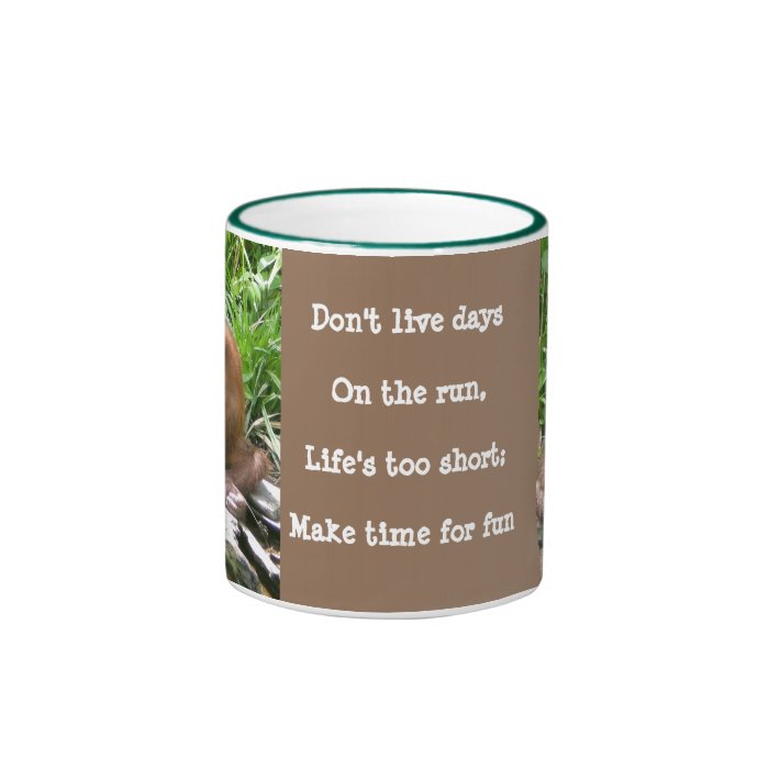 Wildlife Lessons Life's short, have fun Mug