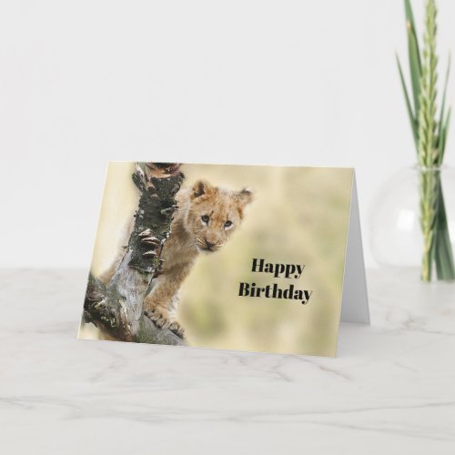 Wildlife Lion Cub Photo Birthday Card