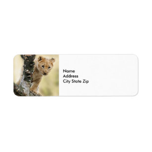 Wildlife Lion Cub Photo Label
