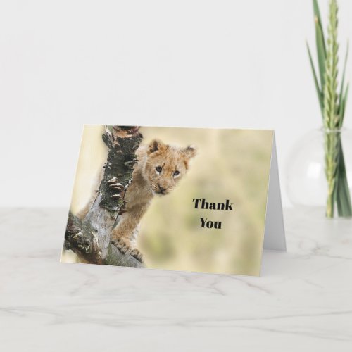 Wildlife Lion Cub Photo Thank You Card