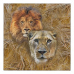 Wildlife-