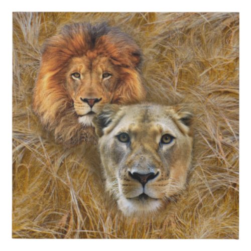 Wildlife_ Lion  Lioness Faux Canvas Print