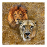Wildlife-