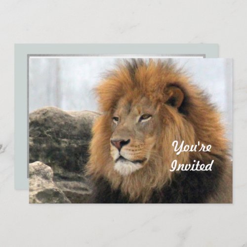 Wildlife Lion Photo Birthday Invitation