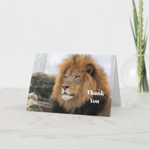Wildlife Lion Photo Letterpress Thank You Card