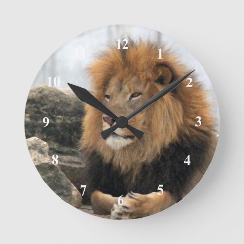 Wildlife Lion Photo Round Clock