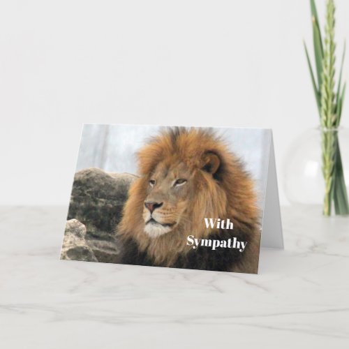 Wildlife Lion Photo Sympathy Card