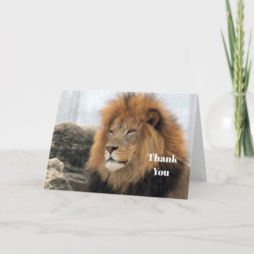 Wildlife Lion Photo Thank You Card