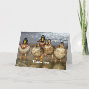 Wildlife Mallard Ducks Letterpress Thank You Card
