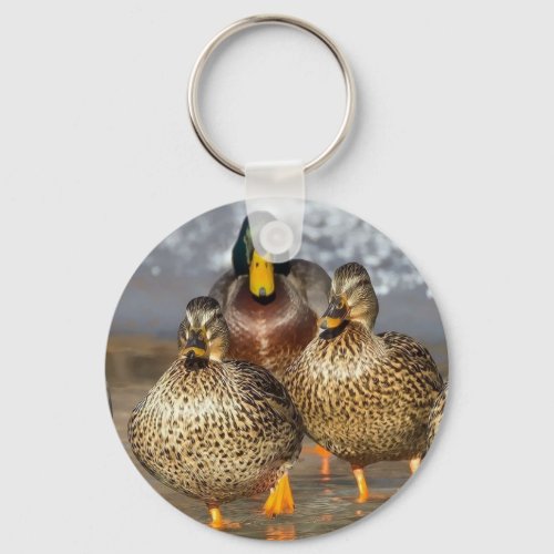 Wildlife Mallard Ducks Photo Keychain