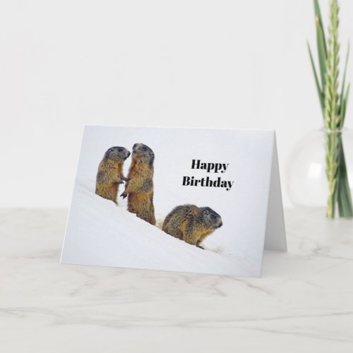 Wildlife Marmots Snow Photo Birthday Card