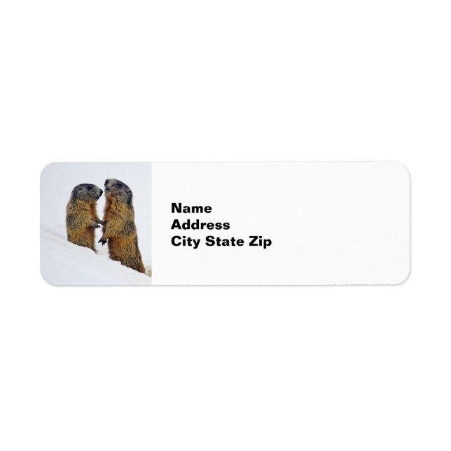 Wildlife Marmots Snow Photo Label (Front)