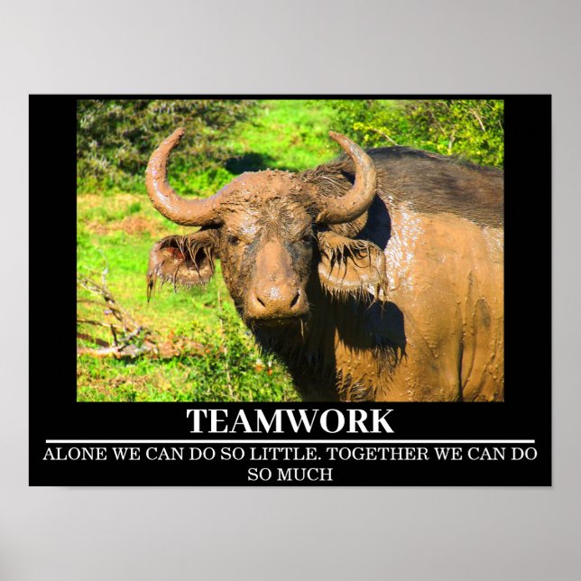 Wildlife Motivational Posters Buffalo Teamwork (Front)