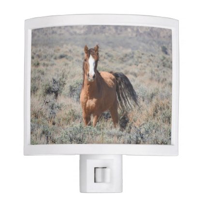 Wildlife night light, wild horses, mustang night light