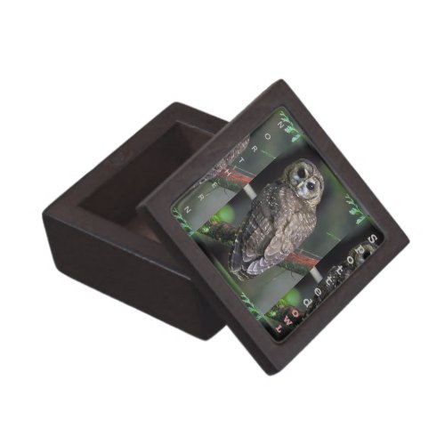 Wildlife Northern Spotted Owl    Gift Box