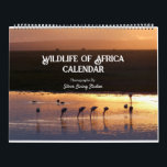 Wildlife of Africa Calendar<br><div class="desc">I am offering a Photo calendar of my prints from my Africa gallery.

Subjects include:  Flamingos,  Penguins,  Gorillas,  Lions,  Ostrich,  Cheetahs,  Giraffe,  Buffalo,  Jaguar,  Zebras,  Elephant,  and Hippo.

Locations showcased include:  Tanzania,  Kenya,  Zimbabwe,  Zambia,  South Africa,  Rwanda and Uganda.</div>