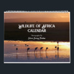 Wildlife of Africa Calendar<br><div class="desc">I am offering a Photo calendar of my prints from my Africa gallery.

Subjects include:  Flamingos,  Penguins,  Gorillas,  Lions,  Ostrich,  Cheetahs,  Giraffe,  Buffalo,  Jaguar,  Zebras,  Elephant,  and Hippo.

Locations showcased include:  Tanzania,  Kenya,  Zimbabwe,  Zambia,  South Africa,  Rwanda and Uganda.</div>