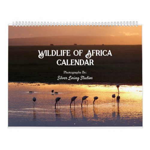 Wildlife of Africa Calendar