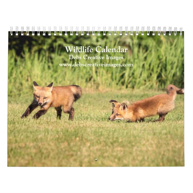 Wildlife of the Northeast 2026 Calendar (Cover)