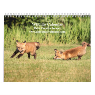 Wildlife of the Northeast 2026 Calendar