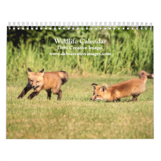 Wildlife of the Northeast 2026 Calendar