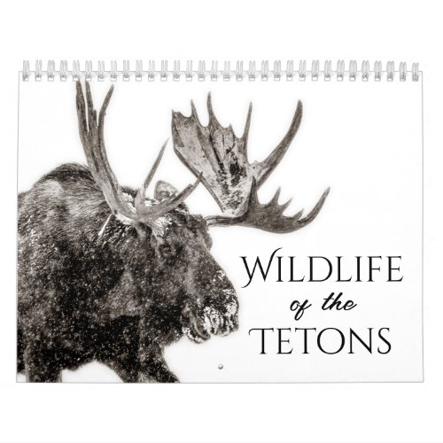 Wildlife Of The Tetons Calendar