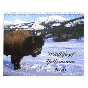 Wildlife of Yellowstone Calendar
