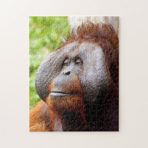 Wildlife Orangutan Jigsaw Puzzle