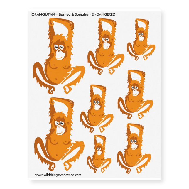 Wildlife - ORANGUTAN - Primate - Ape  Temporary Tattoos (Front)