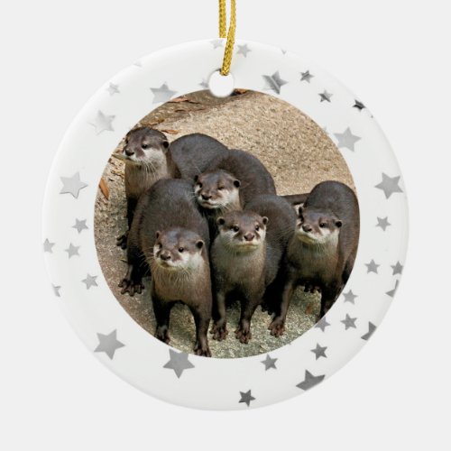 Wildlife Otter Stars Christmas Ornament