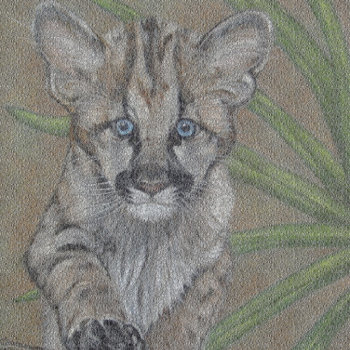 Wildlife Painting Of Big Cat Cougar Kitten Watch by artoriginals at Zazzle