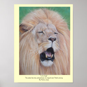wildlife painting of big cat roaring lion poster
