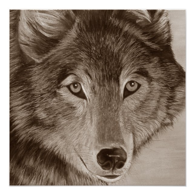 wildlife painting of gray wolf poster (Front)