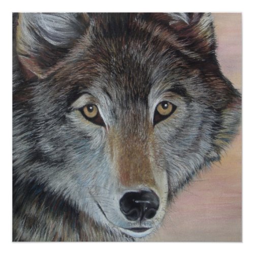 wildlife painting of gray wolf poster