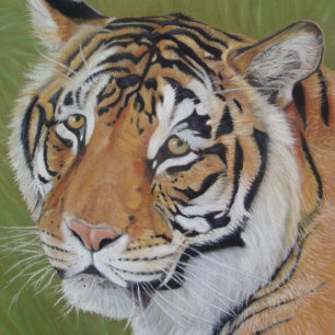 wildlife painting of tiger with sad eyes big cat jigsaw puzzle