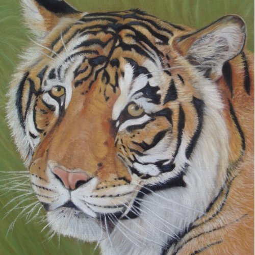 wildlife painting of tiger with sad eyes big cat jigsaw puzzle