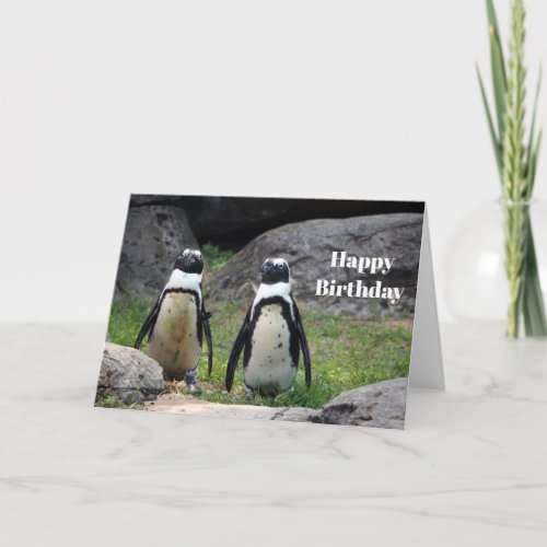 Wildlife Penguin Pair Photo Birthday Card