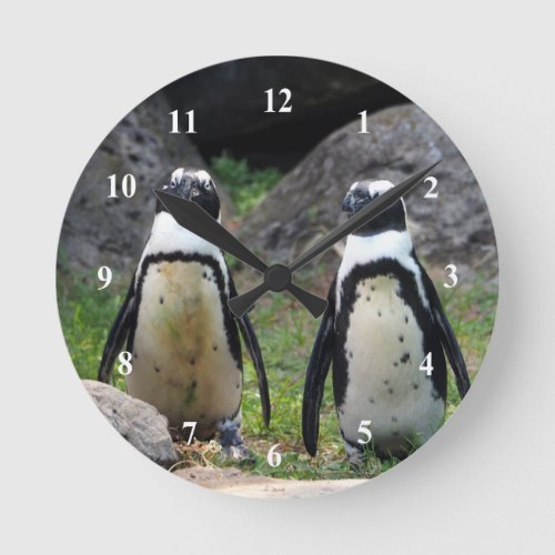 Wildlife Penguin Pair Photo Round Clock