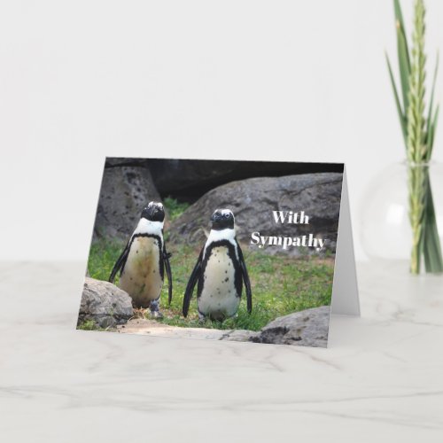Wildlife Penguin Pair Photo Sympathy Card