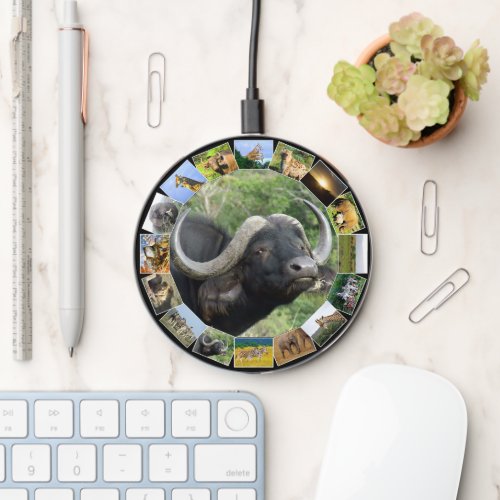 Wildlife Photo Collage Circle Buffalo Grass Wireless Charger