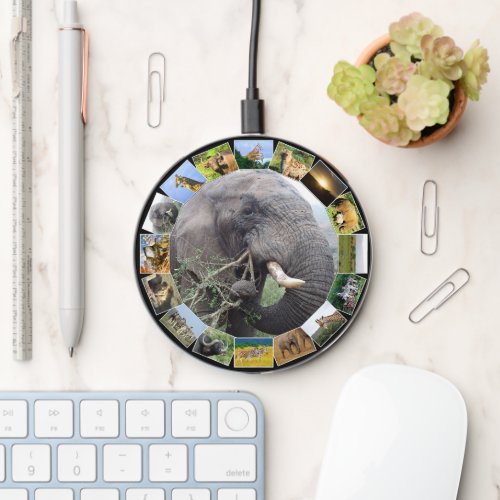 Wildlife Photo Collage Circle Elephant Bull Wireless Charger