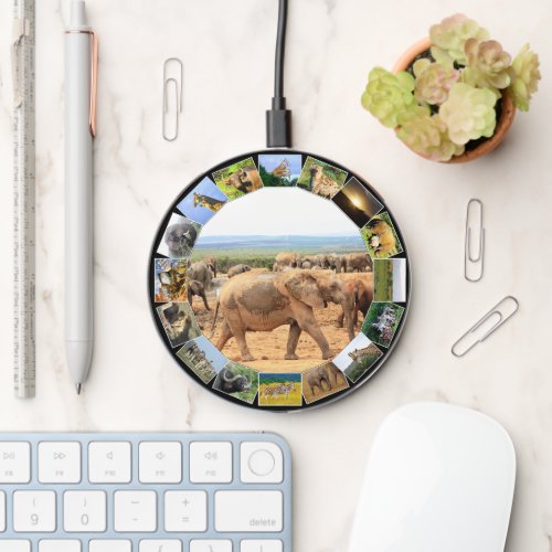 Wildlife Photo Collage Circle Elephant Cameo Wireless Charger