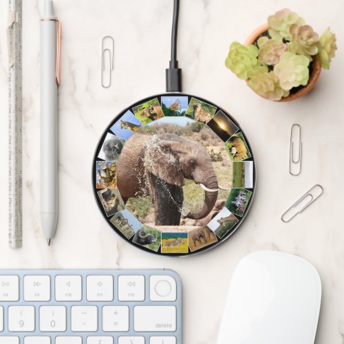 Wildlife Photo Collage Circle Elephant Splash Wireless Charger