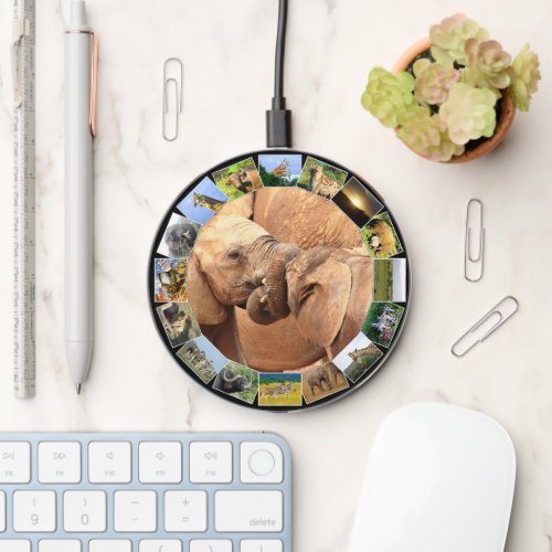 Wildlife Photo Collage Circle Elephant Tug Of War Wireless Charger