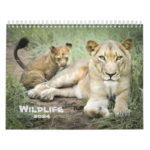 Wildlife Photography 2024 Calendar