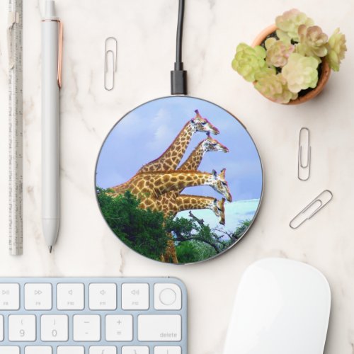 Wildlife Photography 4 Giraffes Wireless Charger