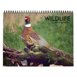 Wildlife Photography Calendar