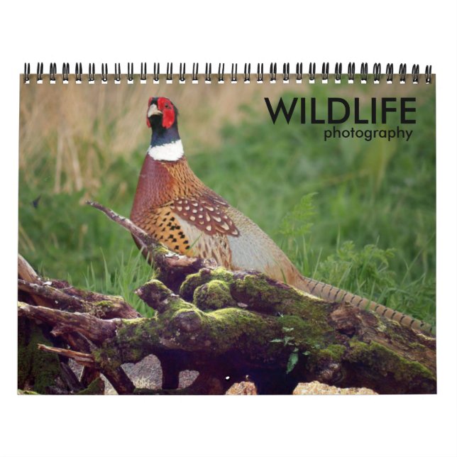 Wildlife Photography Calendar (Cover)