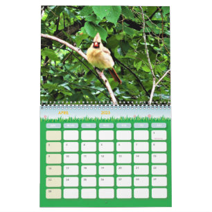 Wildlife Photography Calendar