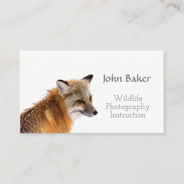 Wildlife Photography Instruction Business Cards (Front)